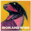 Iron & Wine - Flightless Bird American Mouth