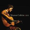Shawn Colvin - Shotgun Down The Avalanche (live)