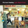 Richard Hawley - Baby You're My Light