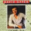 David Gates - Come Home For Christmas