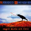 Jason Reeves - Rescue