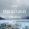David Gray - The One I Love